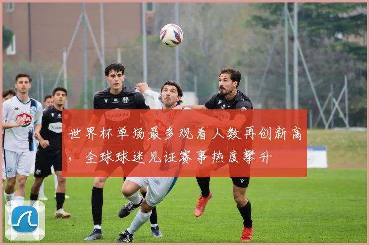 世界杯单场最多观看人数再创新高，全球球迷见证赛事热度攀升