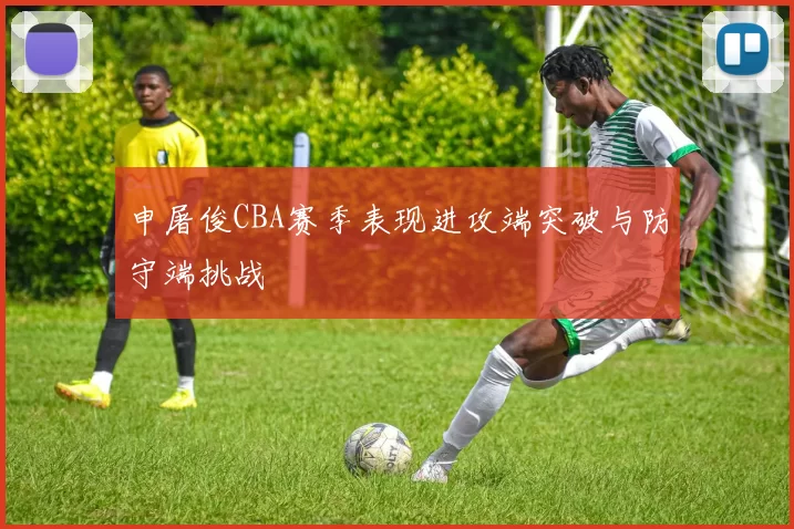 申屠俊CBA赛季表现进攻端突破与防守端挑战