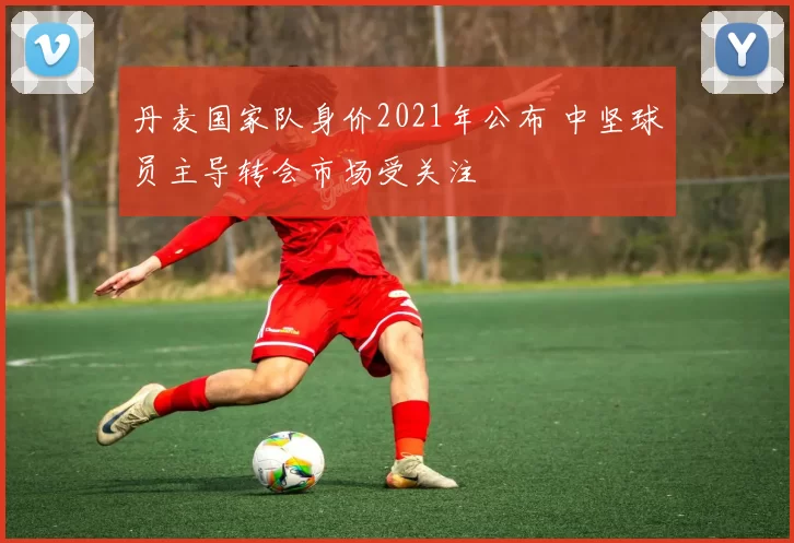 丹麦国家队身价2021年公布 中坚球员主导转会市场受关注