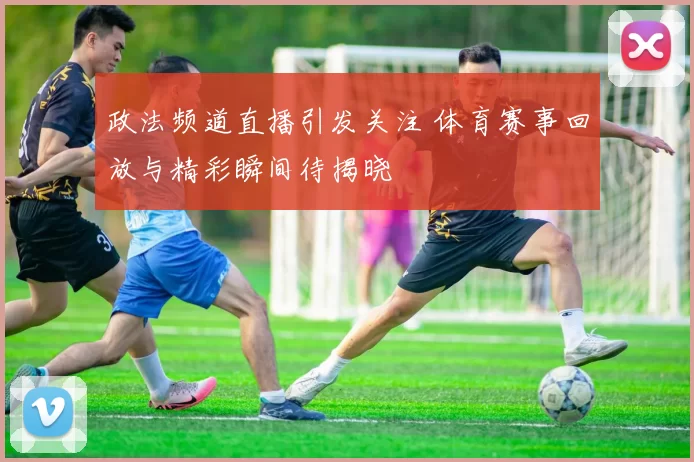政法频道直播引发关注 体育赛事回放与精彩瞬间待揭晓