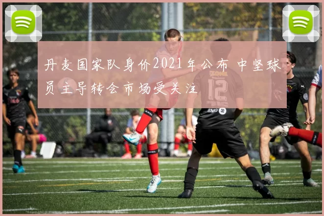 丹麦国家队身价2021年公布 中坚球员主导转会市场受关注